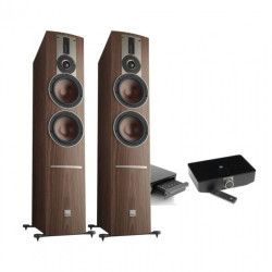 Dali Floorstanding speakers Rubicon 6 C Natural Walnut