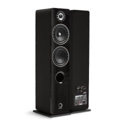 Elipson Active Floorstand speakers Prestige Facet 14F BT Phono Black (pair)
