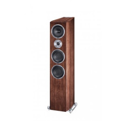Heco floorstanding speakers Celan Revolution 7 + Parasound HINT 6 stereo integrated amplifier (set)