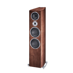 Heco floorstanding speakers Celan Revolution 9 + Parasound HINT 6 stereo integrated amplifier (set)