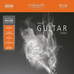 In-Akustik LP R.S.E GREAT GUITAR TUNES
