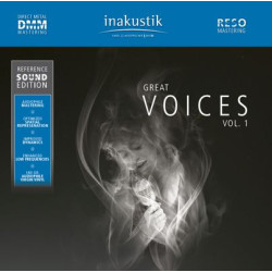In-Akustik LP R.S.E GREAT VOICES - VOL.1 2 LP