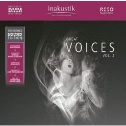 In-Akustik LP R.S.E GREAT VOICES - VOL.2