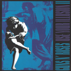 GUNS N ROSES - USE YOUR ILLUSION II (LP2)
