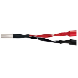Wireworld Luna 8 Speaker Cable 2.0m Pair (BAN-BAN)